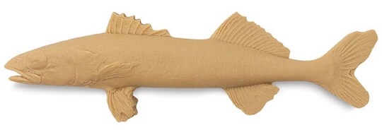 Gyotaku Fish Printing Replica - Walleye | Michaels Gyotaku Fish Printing Replica - Walleye | Michaels